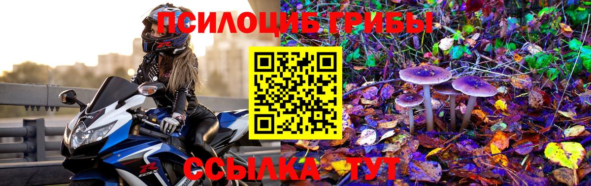 Псилоцибиновые грибы мухоморы  Галлюциногенные грибы Psilocybe  Сибай  Вход с VPN 